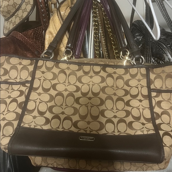 Coach - Picture 1 of 1